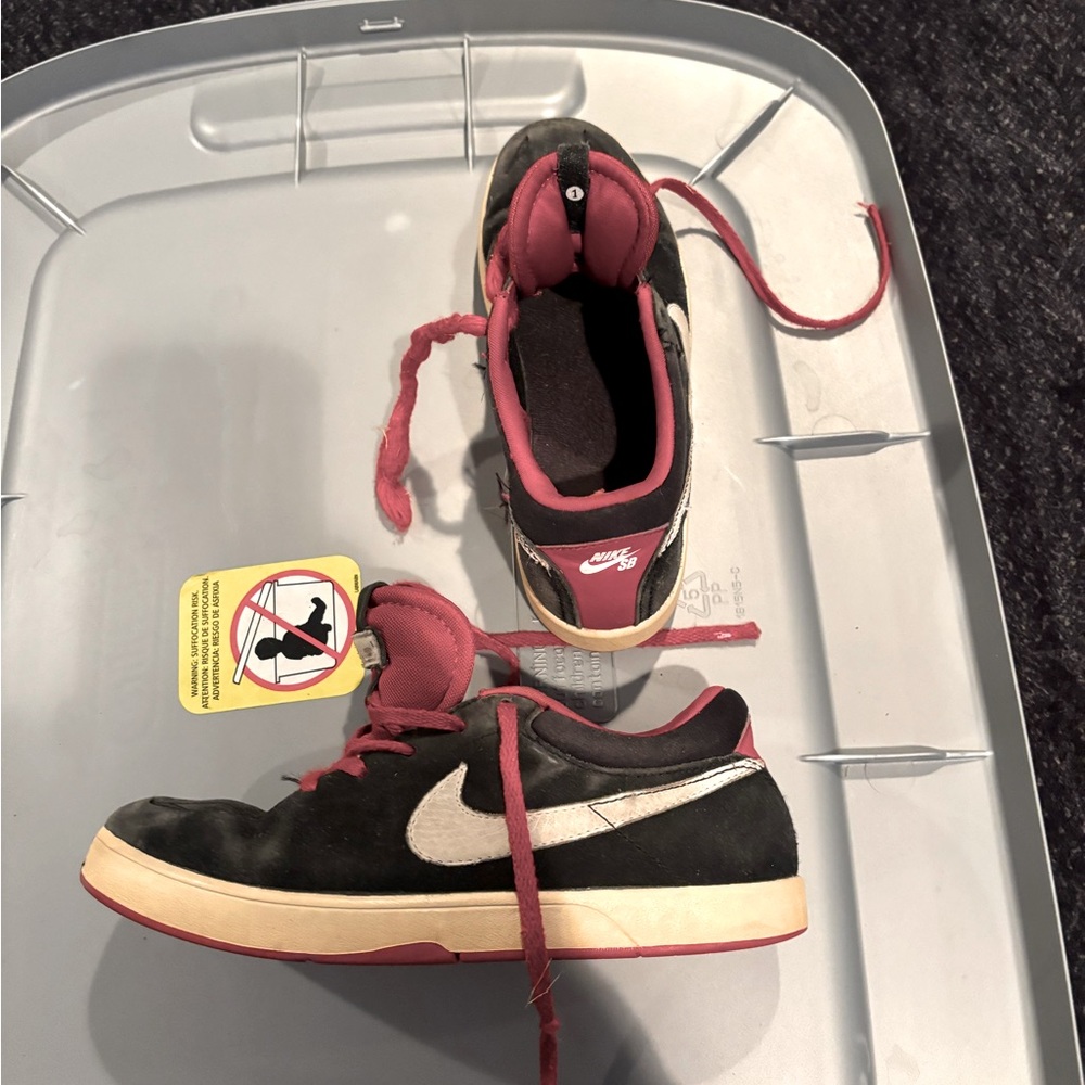 Nike SB sneakers